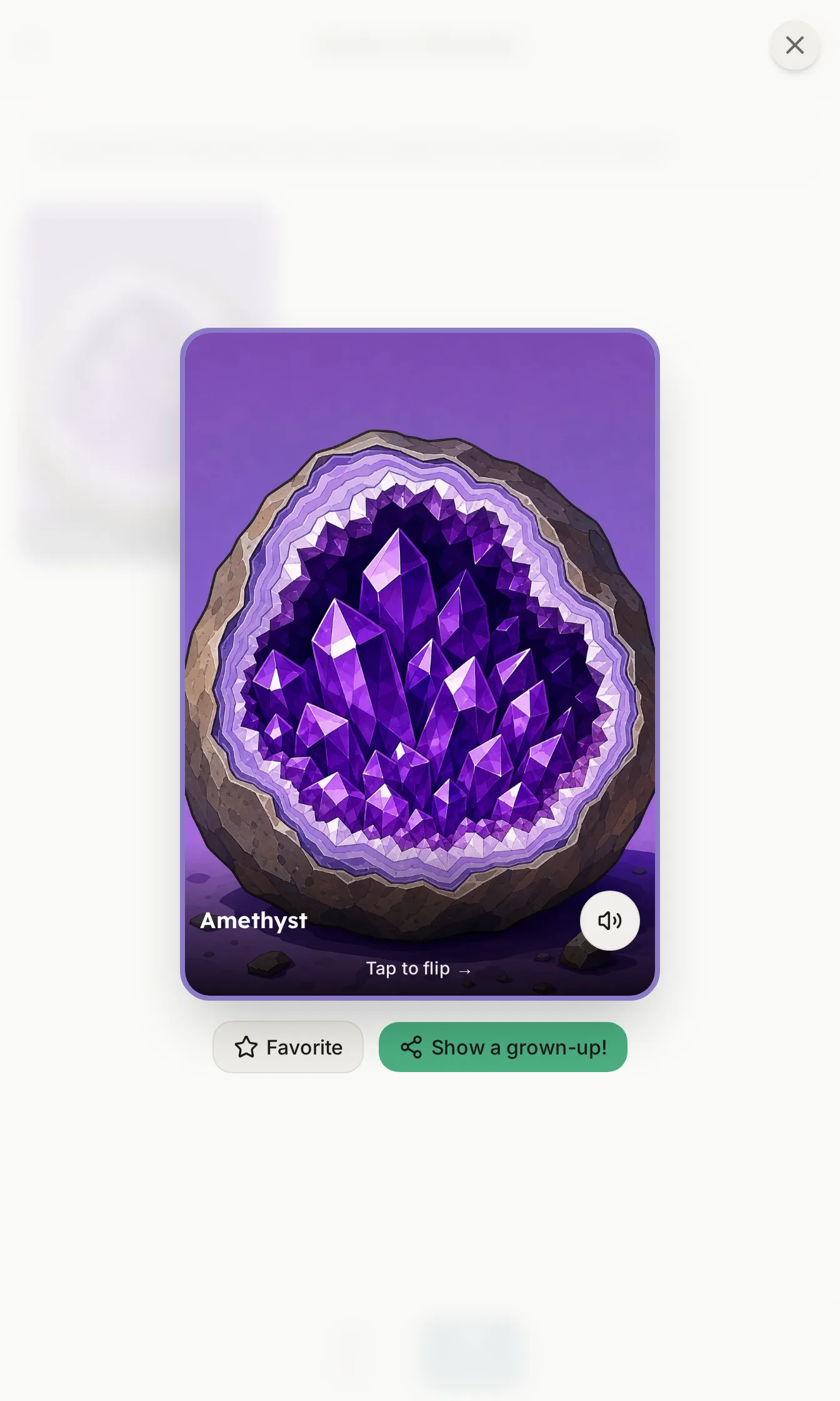 A flippable Amethyst collectible card with Tap to flip, Favorite, and Show a grown-up actions